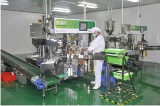 愛護工廠參觀之旅 以匠心與品質，鑄就皮革制品的卓越承諾